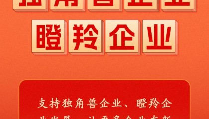 政府工作报告中的新词“瞪羚企业”,是什么意思
