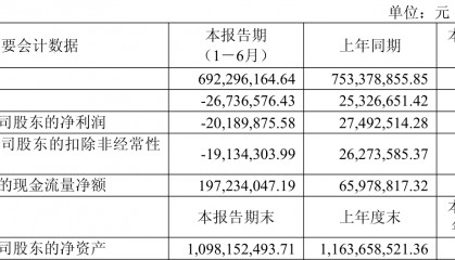 迎丰股份：2025年上半年实现营业总收入6.92亿元