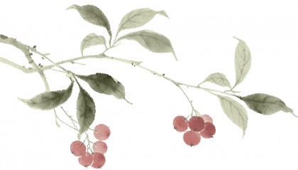 深水救人施大义 感恩之情勇难忘