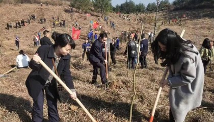 邮储银行独山县支行开展义务植树活动