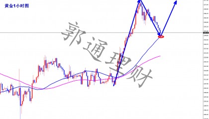 郭通理财:5.13黄金重点数据周来临,金油最新走势分析
