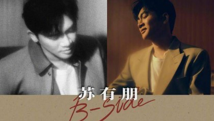 苏有朋音乐会普通票不能合影,本人回应