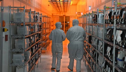 荷兰分析人士：安世半导体事件表明，欧洲夹在中美之间无能为力