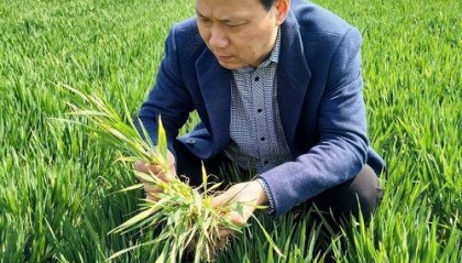 农艺师怎么考?好考吗?