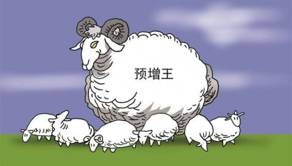 “预增王”净利润增长超110倍