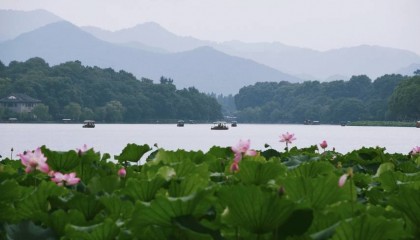 放假去杭州旅游跟团游靠谱么杭州金牌靠谱导游介绍