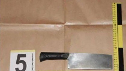 男子看监控发现妻子出轨，怒气冲冲回家抓现行，举起菜刀……