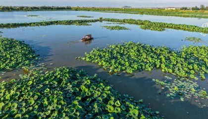 安徽庐江:乡村音乐会 艺术进景区