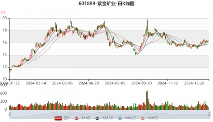 紫金矿业:预计2024年净利320亿元 同比增长51.5%