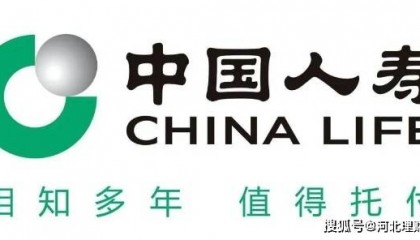 河北理财网:中国人寿制定19项任务 谋划2024年推进乡村全面振兴重点工作
