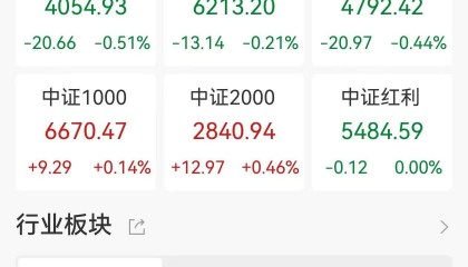 A股收评：三大指数继续调整，沪指跌0.37%，中药、光伏设备板块领涨！超3300股上涨，成交1.62万亿缩量3420亿