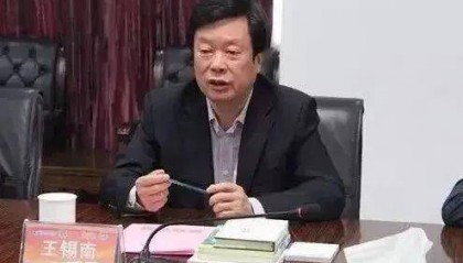 70岁王锡南，被查