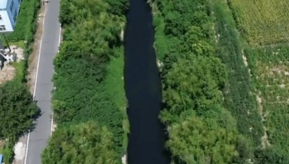 湖北云梦县联合工作组情况通报