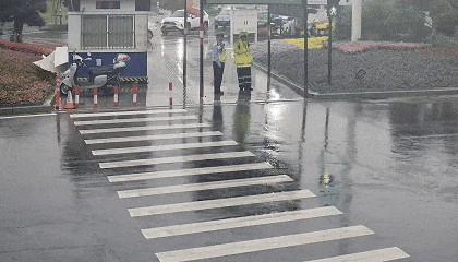 男孩“霸气”对交警承诺：“报我名字，领100个包子！”