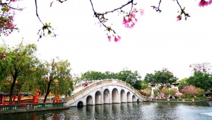 提高投资理财能力,有哪些高效的学习方法?