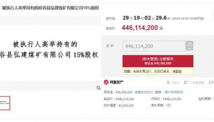 陕西前首富高乃则之子所持一煤矿股权将被拍卖，4.46亿元起拍