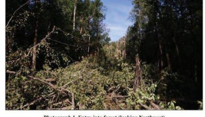 美军：飞行员慌乱中弃机弹射时，F-35战机并未失控