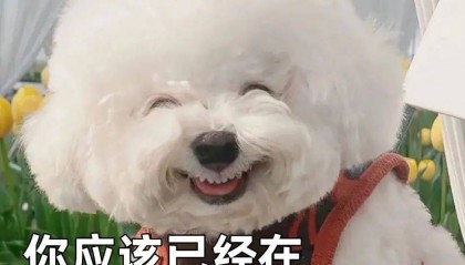 刚刚宣布!今天开始!微信群都在传……