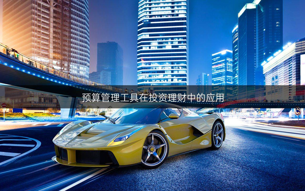 预算管理工具在投资理财中的应用