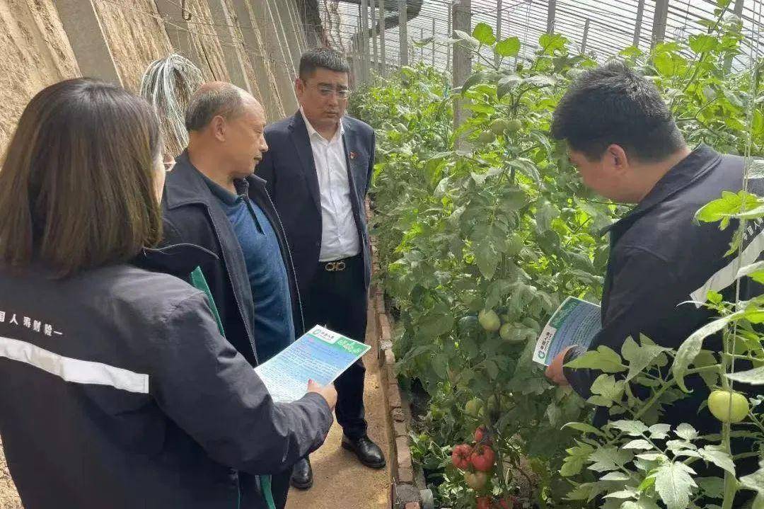 探索创新！三大主粮两类农业保险全面铺开→