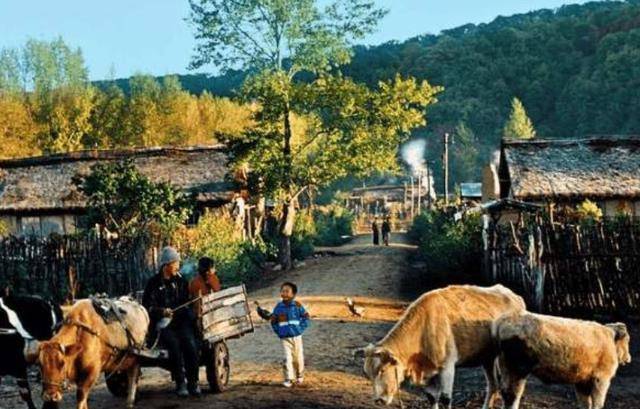 古语说“树夹屋，堂夹房”，下半句少有人知，古人此话有何用意？