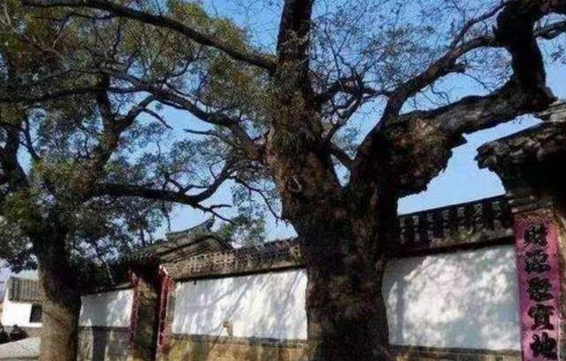 古语说“树夹屋，堂夹房”，下半句少有人知，古人此话有何用意？