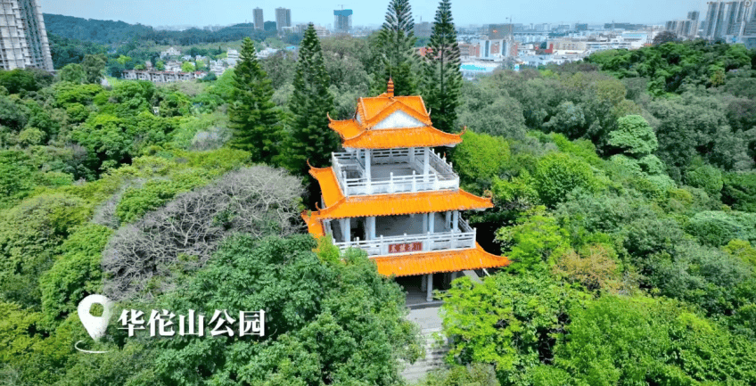 揭秘火炬封面人居——御峰香林的8大豪宅基因