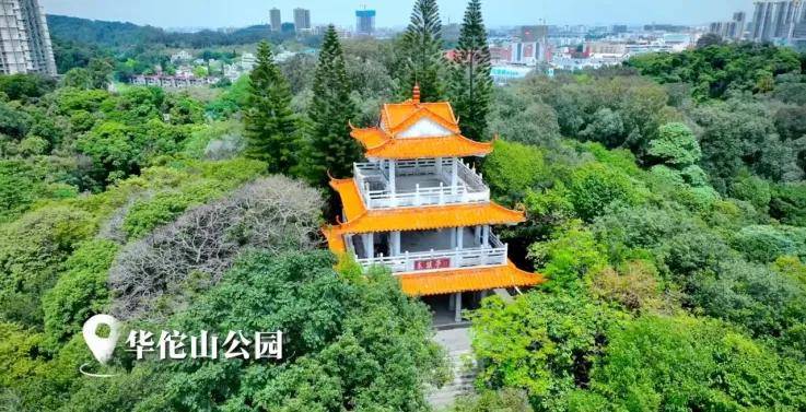 御峰香林：兑现才是王道！深中同城将至，品质豪宅看这里！