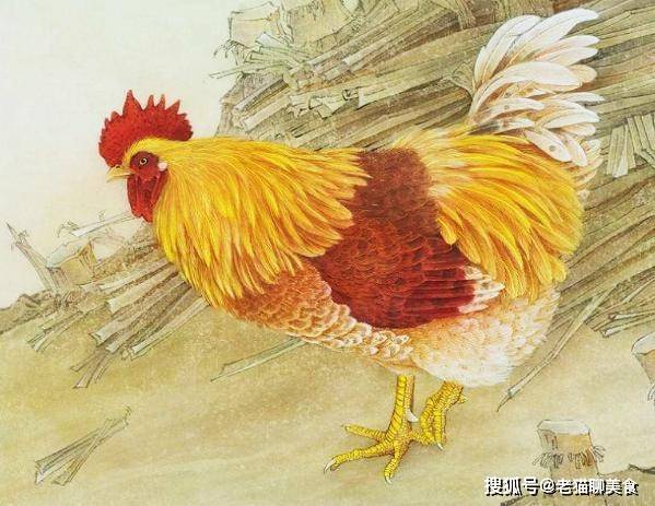 接下来的10天里，再也不会有这么好的运气了，横财将至，生活无财忧，三大生肖