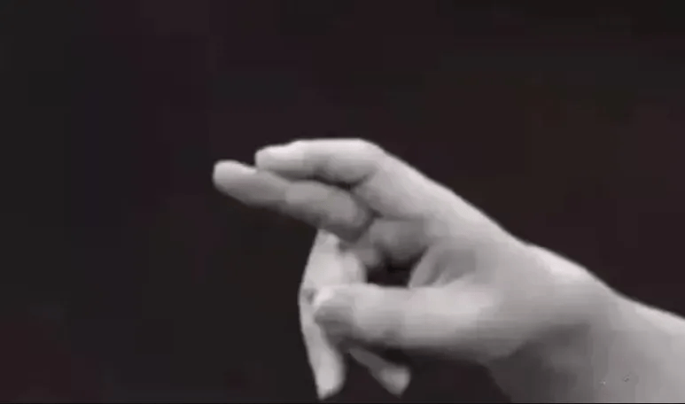 少林金铲指：专练掌指端刺劲