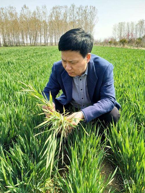 农艺师怎么考？好考吗?