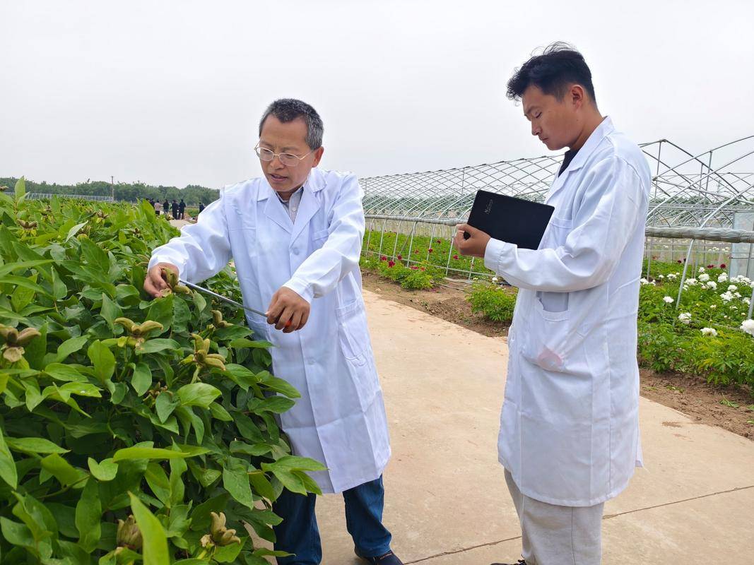 农艺师怎么考？好考吗?