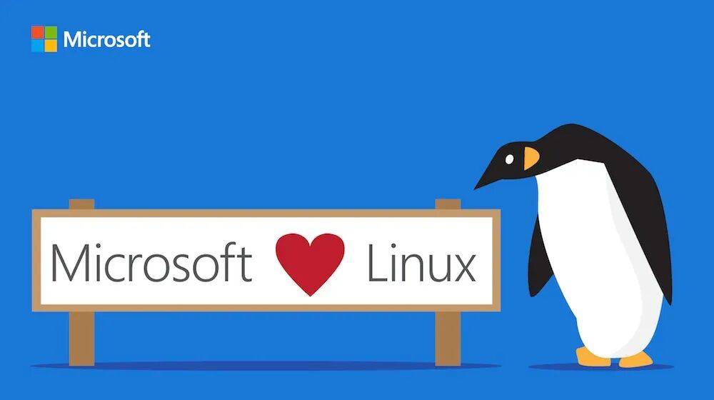 Windows 10彻底死了,多少“系统钉子户”还舍不得更新