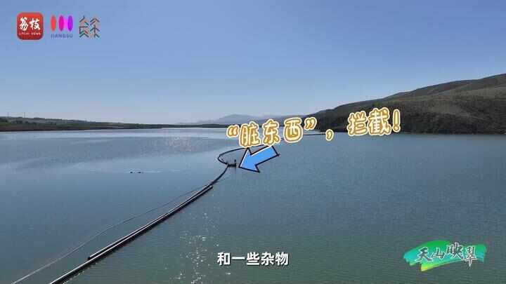 “县”在起笔 青绿绘江山丨天山映翠处,云杉碧水共新生