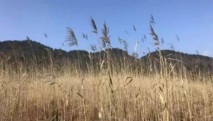 禁止任何形式穿越!杭州一地发布最严禁令